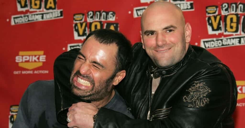 Joe Rogan Interview