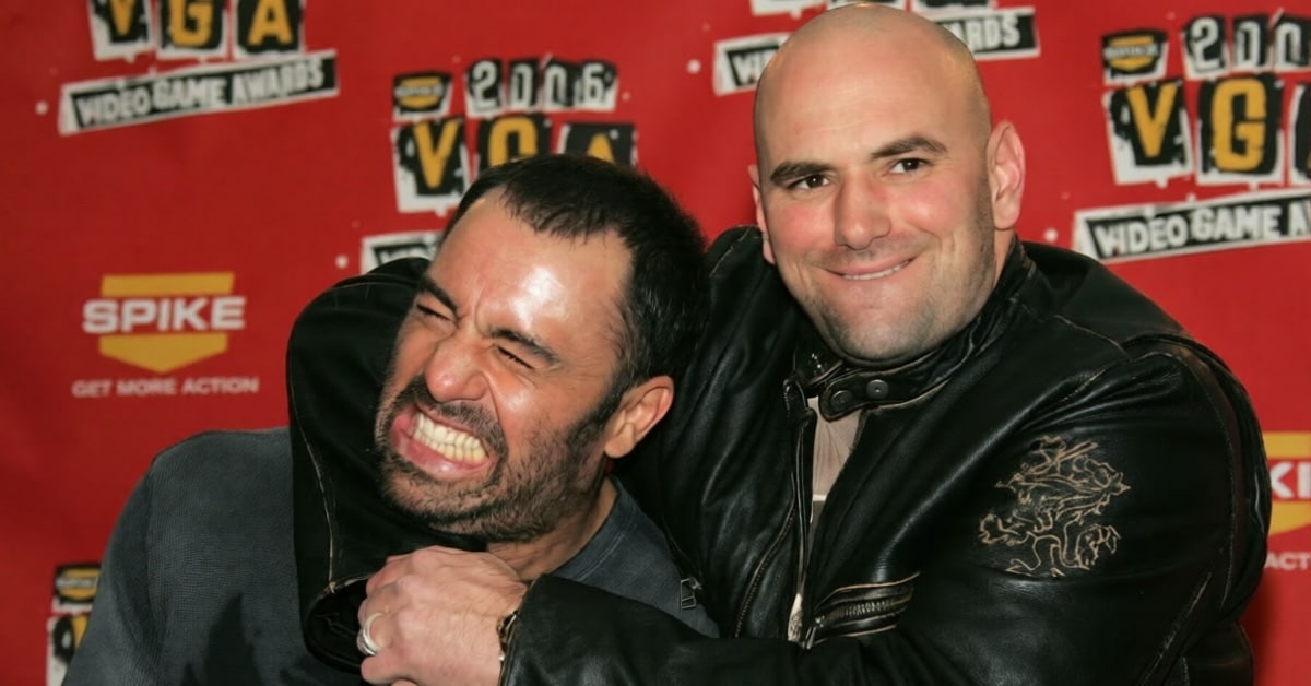 Joe Rogan Interview